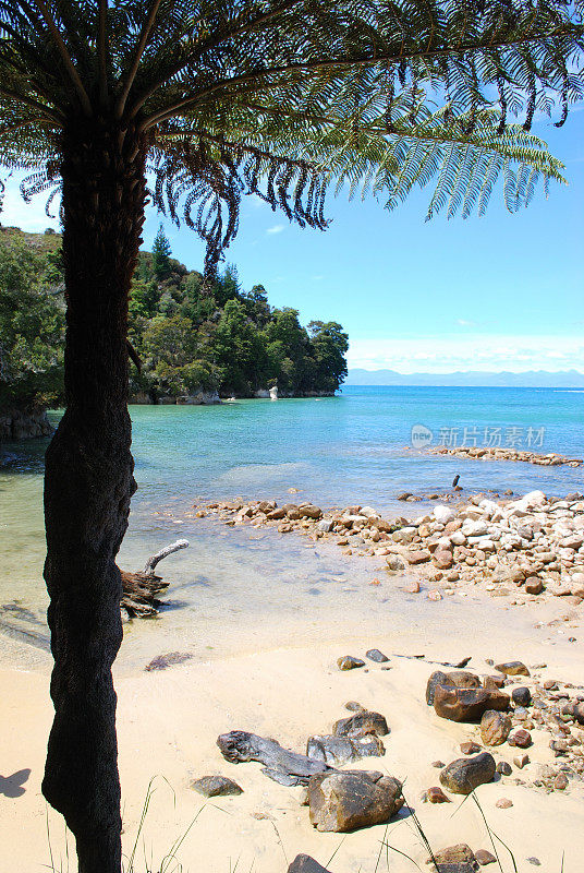 Tinline湾，Abel TasmanNational公园